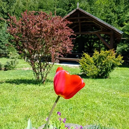 Lodge Lisova Kazka