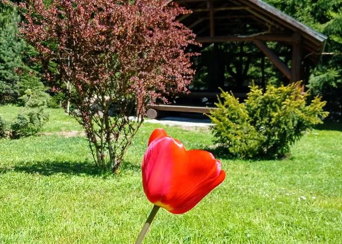 Lodge Lisova Kazka